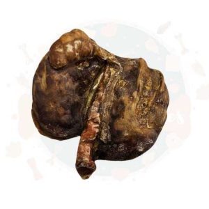Lamb Testicle 1pc