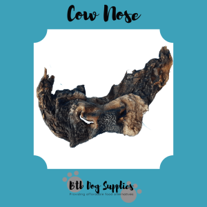 Cow Nose XL - Hairless