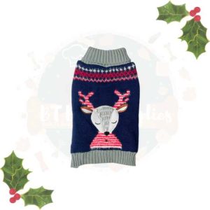 Christmas Reindeer Sweater - Small/Medium