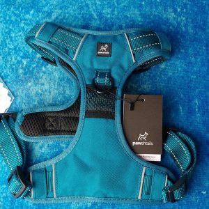 Pawshtails - No Pull Harness Teal