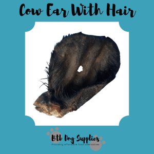 Cow Ear with Hair