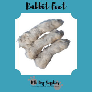 Rabbit Feet 2pcs