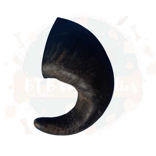 Buffalo Horn