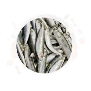 Frozen Sprats 1kg