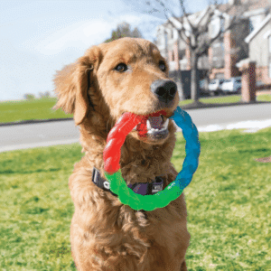 KONG Twistz Ring Small