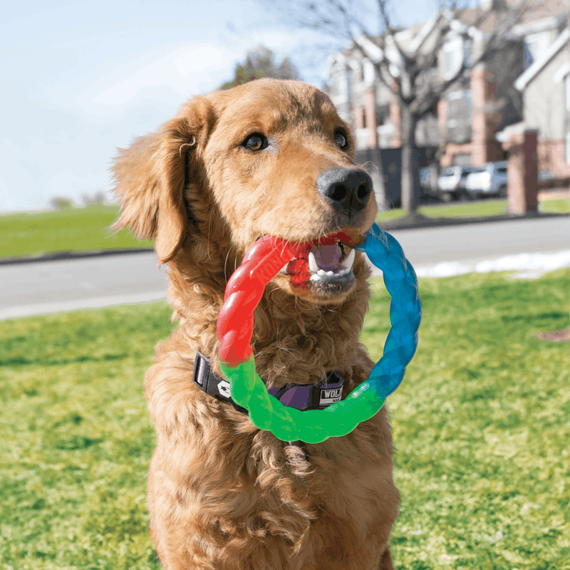 KONG Twistz Ring Small - Image 2