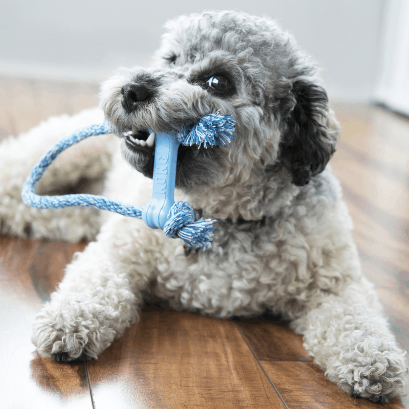 KONG Pup Goodie w/rope Small - Image 3