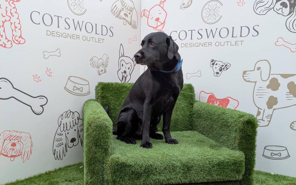 Cotswold Designer Outlet