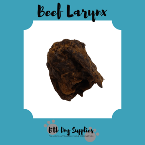 Beef Larynx 1PC