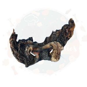 Cow Nose (May have fur)