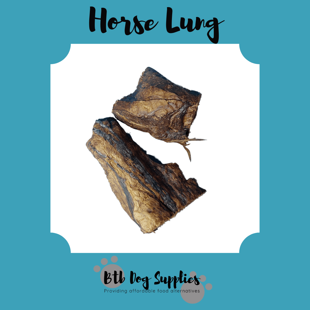 Horse Lungs 1pc