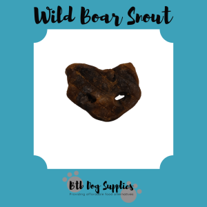Wild Boar Snout 1pc