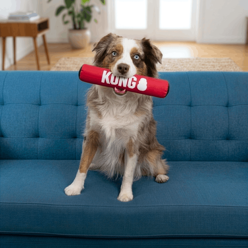 KONG Signature Stick Medium - Image 3
