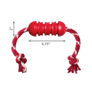 KONG Dental with Rope Small