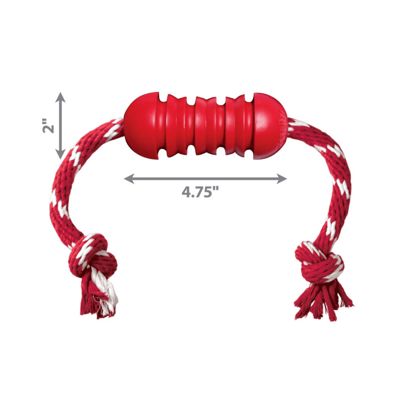 KONG Dental with Rope Small - Image 2