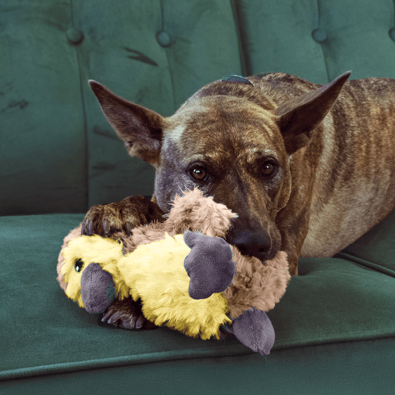 KONG Comfort Tykes Gosling Small - Image 4