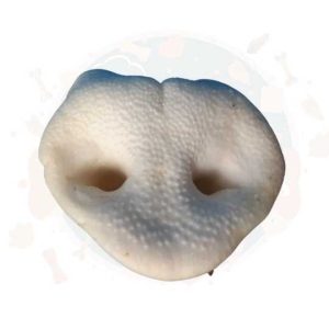 Puffed Pig Snouts 50