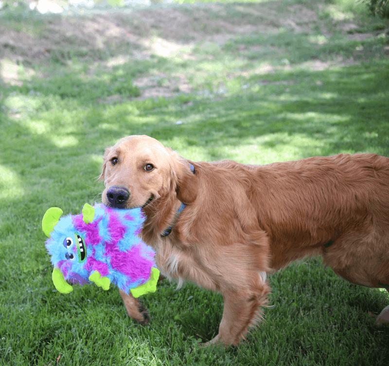 KONG Frizzle Razzle - Medium - Image 3