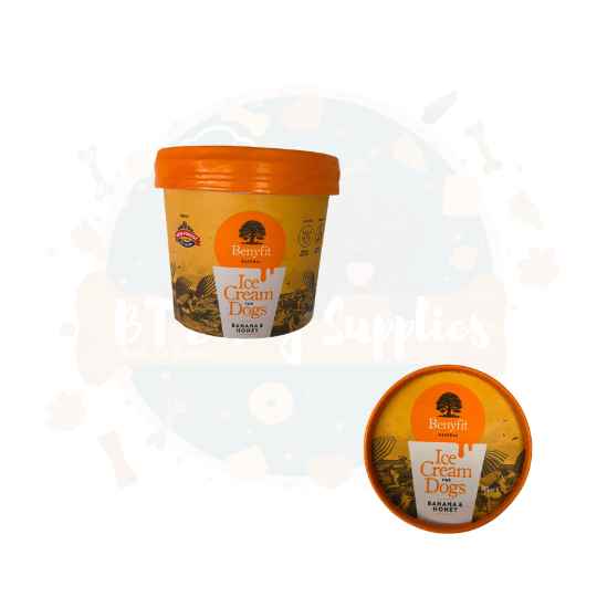 banana and honey dog ice cream frozen raw treat