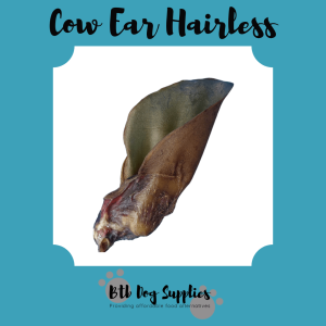 Cow Ear Hairless