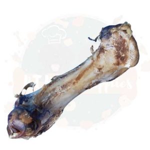 Ostrich Bone