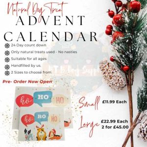 Natural Treat Advent Calendar 2025