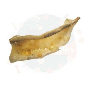 Moon Bone - Large