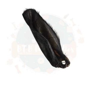 Hairy Buffalo Ears 5 Item